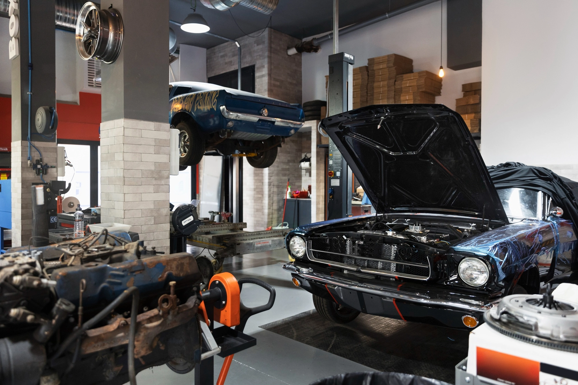 Paint Protection Tips